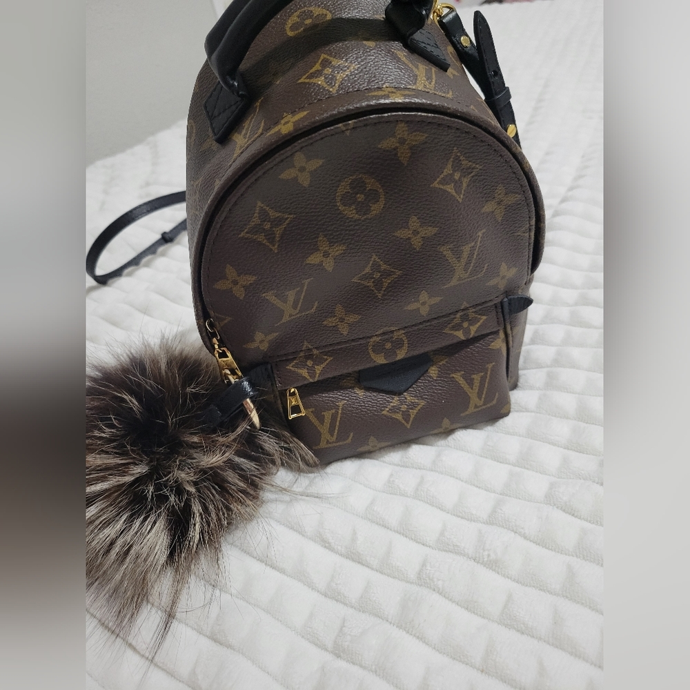 Louis Vuitton mini Palm Springs backpack